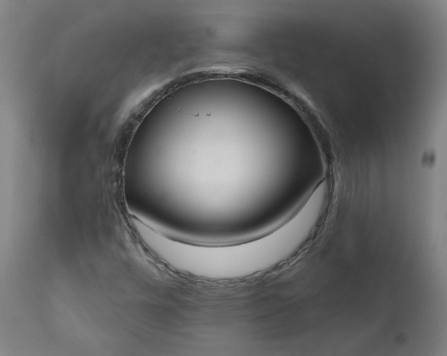 X0000111171448200907151247