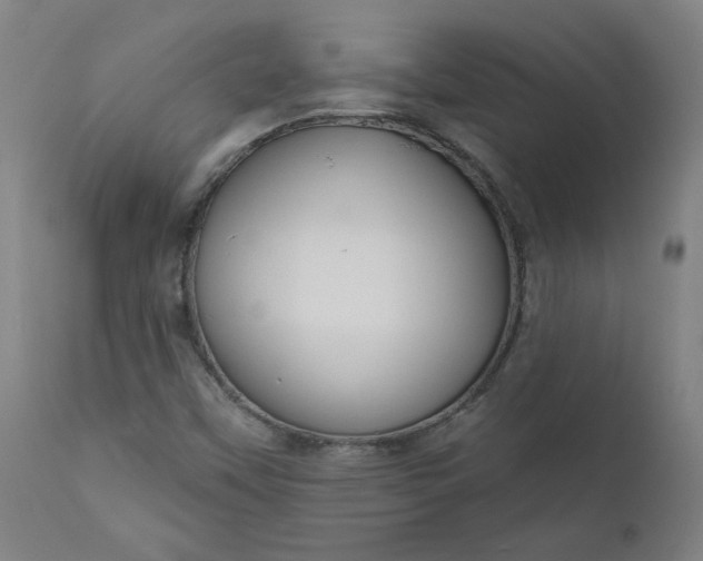 X0000111171451200907151247