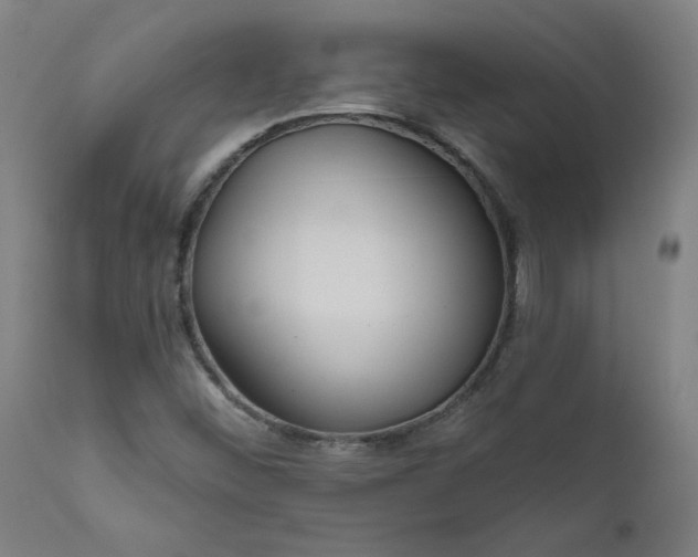 X0000111171452200907151247