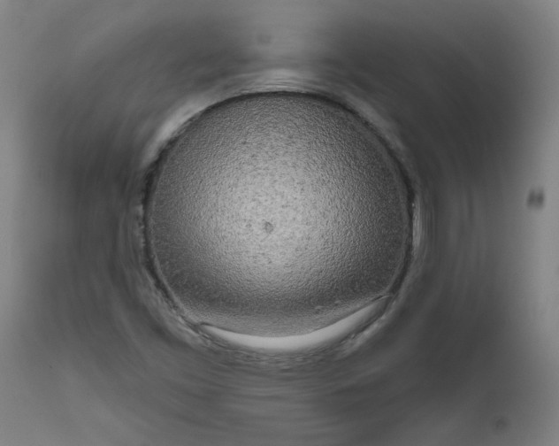 X0000111171453200907151247