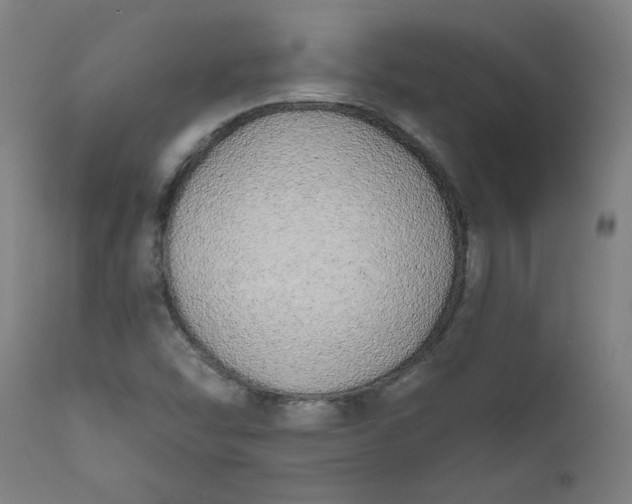 X0000111171454200907151247