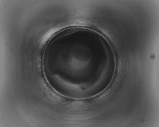 X0000111171455200907151247