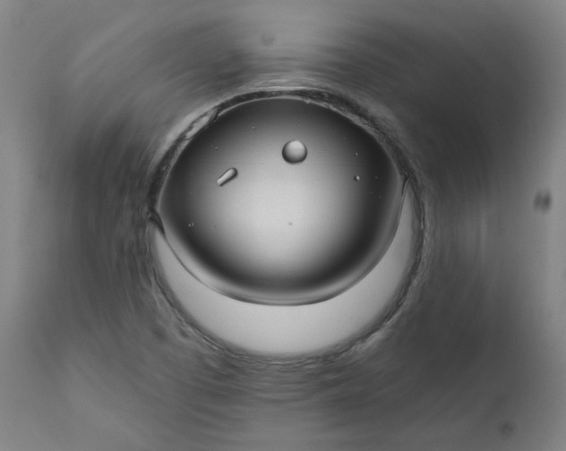 X0000111171457200907151247