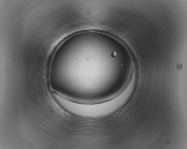 X0000111171460200907151247