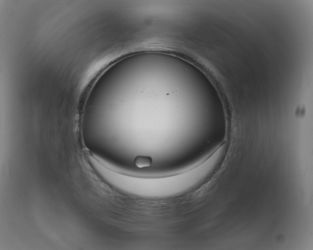 X0000111171461200907151247