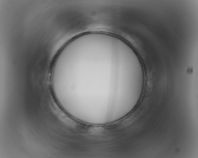 X0000111171462200907151247