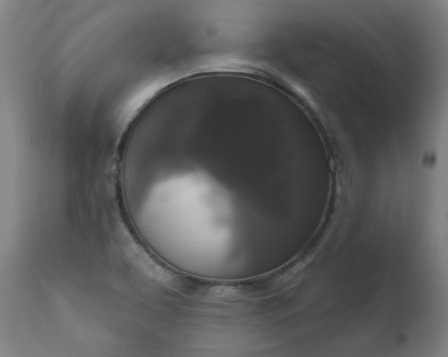 X0000111171463200907151247