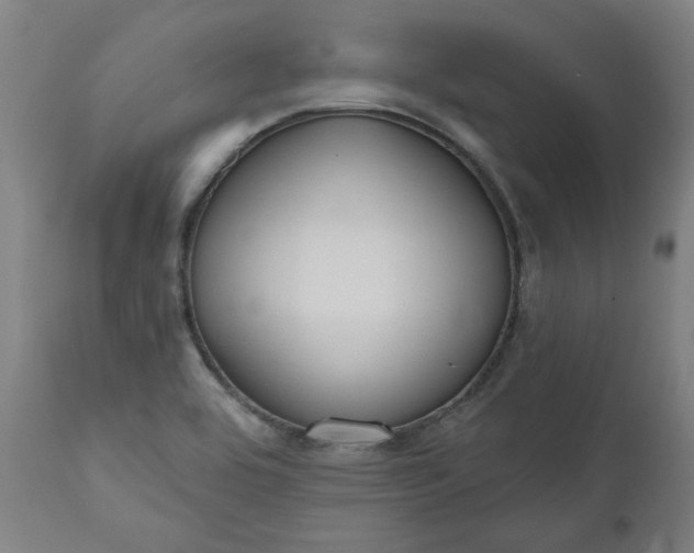 X0000111171464200907151247