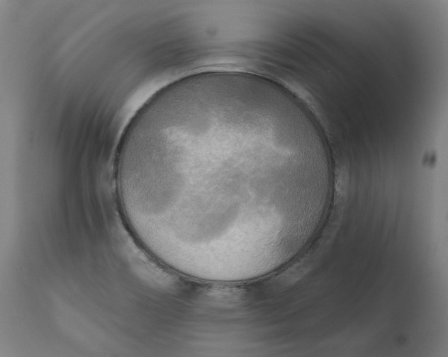 X0000111171466200907151247