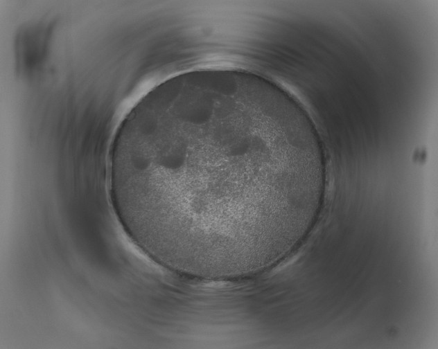 X0000111171467200907151247