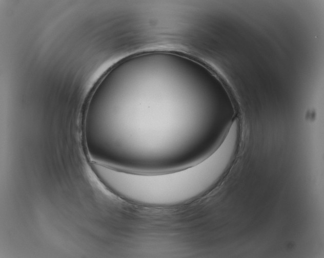 X0000111171468200907151247