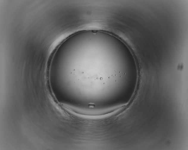 X0000111171469200907151247