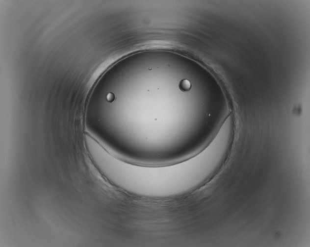 X0000111171473200907151247