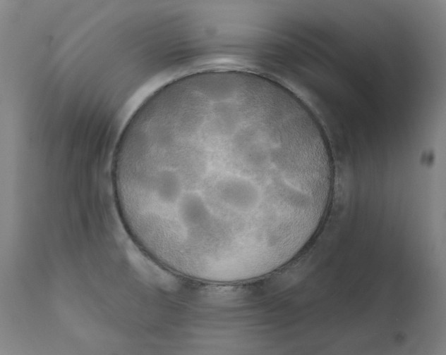 X0000111171474200907151247