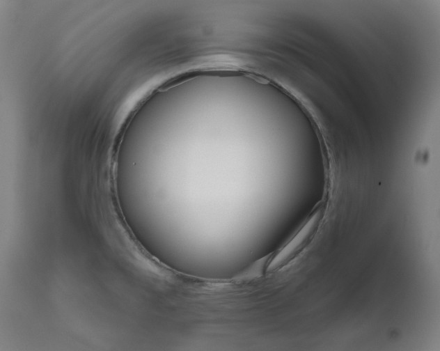 X0000111171477200907151247