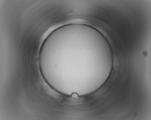 X0000111171478200907151247