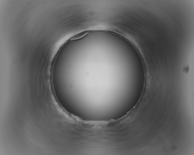 X0000111171480200907151247