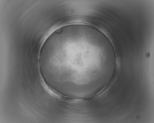 X0000111171482200907151247