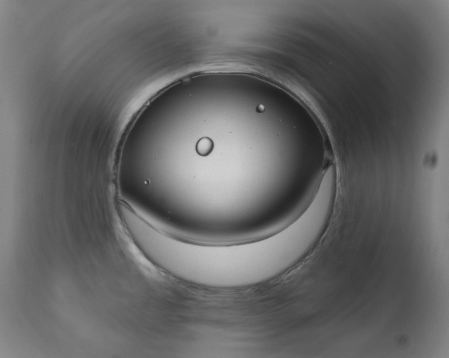 X0000111171485200907151246