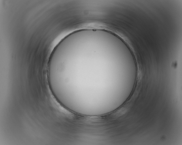 X0000111171486200907151246