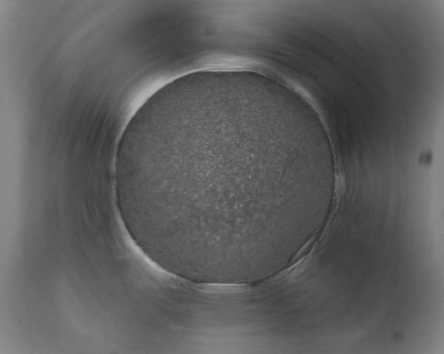 X0000111171487200907151246