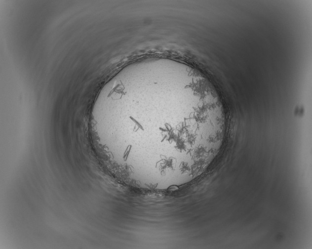 X0000111171489200907151246