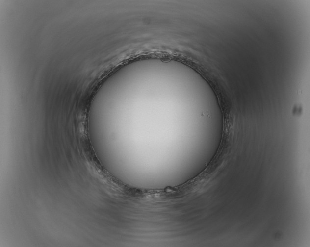 X0000111171490200907151246