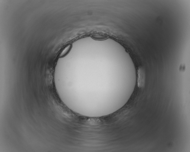 X0000111171491200907151246