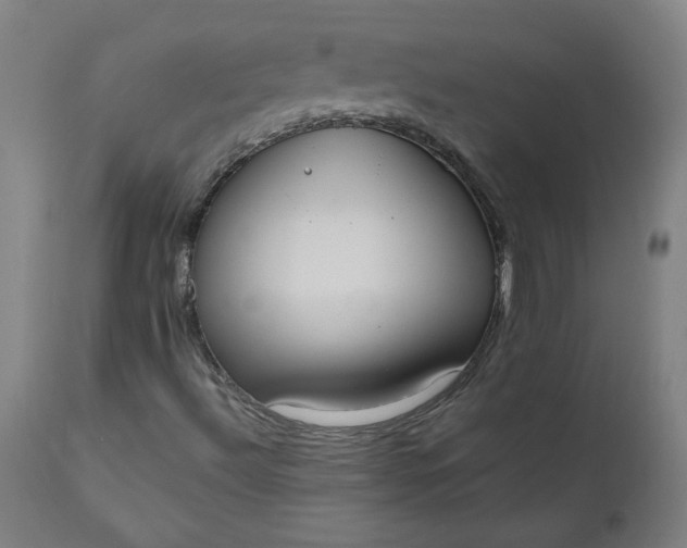 X0000111171492200907151246