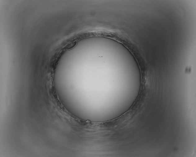 X0000111171493200907151246