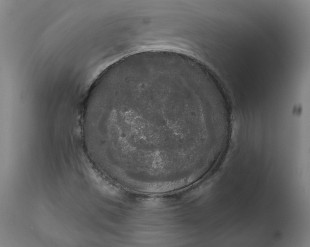 X0000111171497200907151246