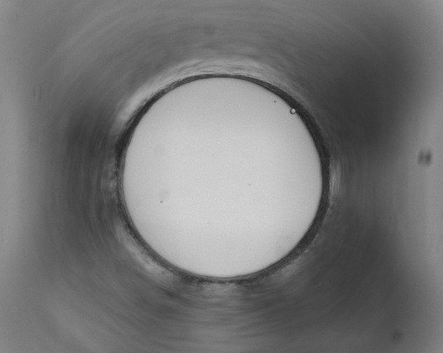 X0000111171498200907151246