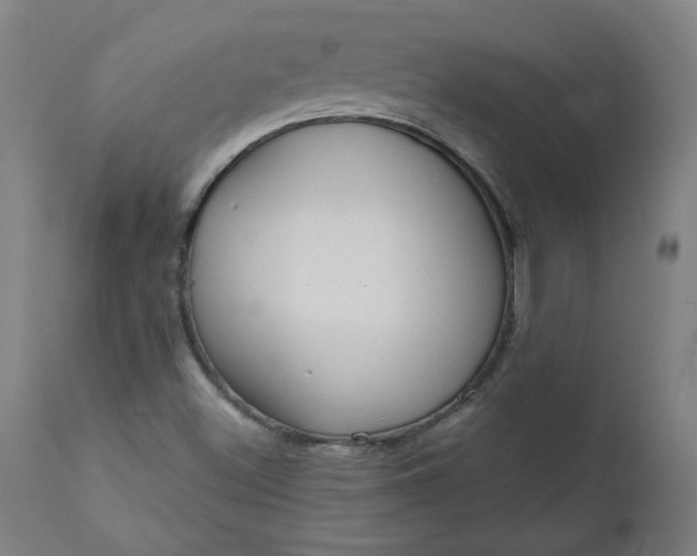 X0000111171500200907151246