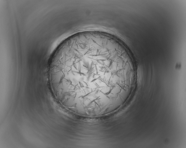 X0000111171501200907151246