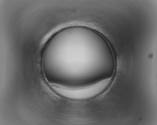 X0000111171502200907151246