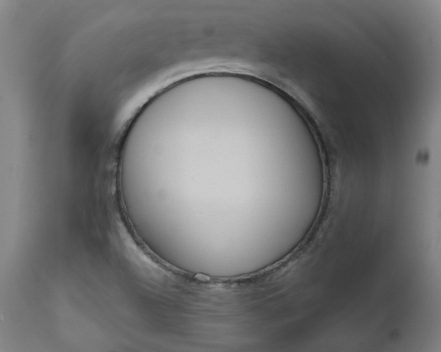 X0000111171504200907151246