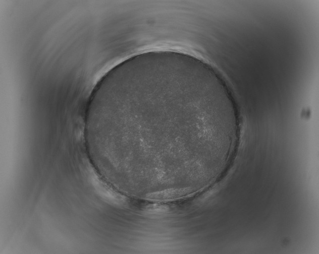 X0000111171505200907151246