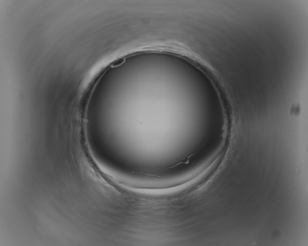 X0000111171506200907151246