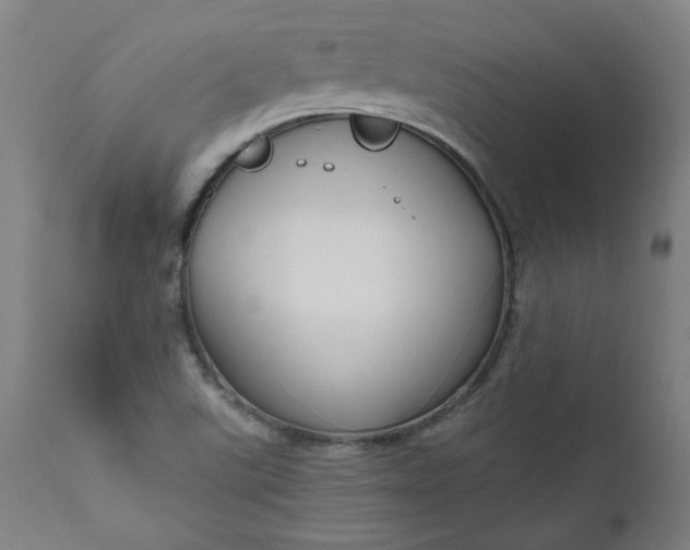 X0000111171507200907151246