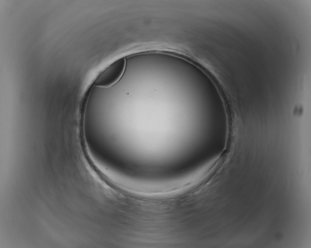 X0000111171508200907151246