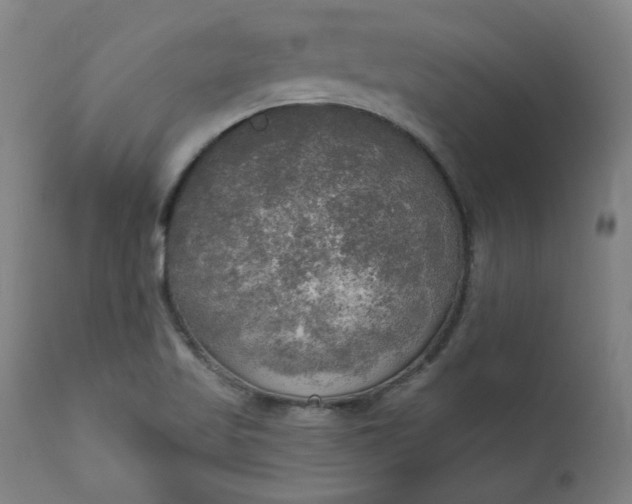 X0000111171509200907151246