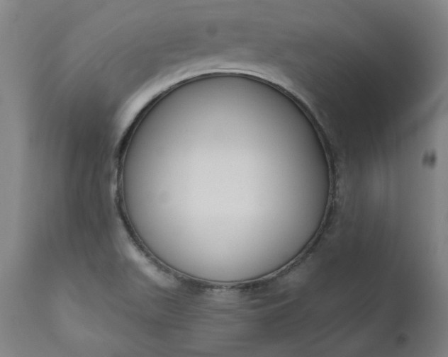 X0000111171511200907151246