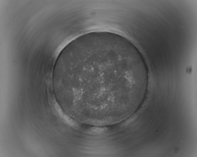 X0000111171513200907151246