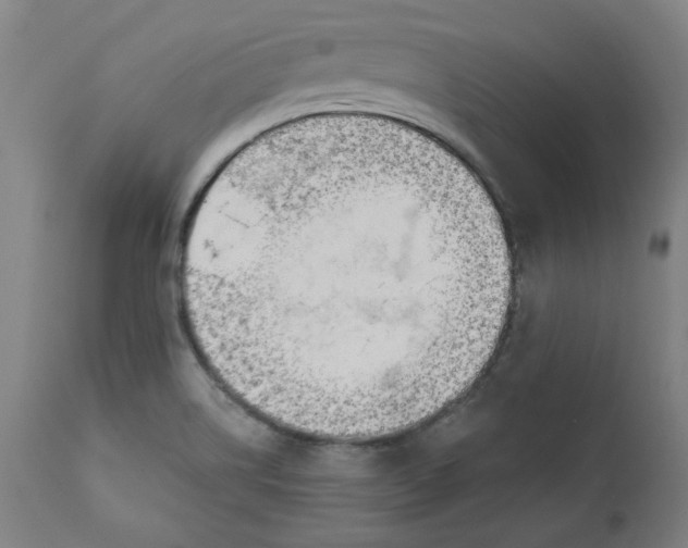 X0000111171514200907151246