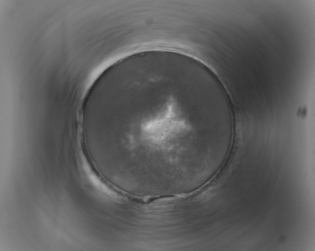 X0000111171515200907151246