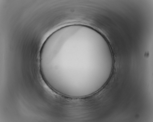 X0000111171516200907151246