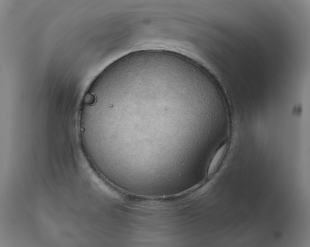 X0000111171517200907151246