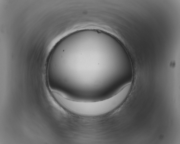 X0000111171518200907151246