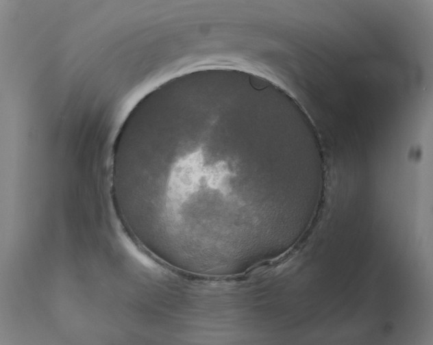 X0000111171519200907151246