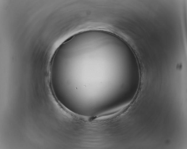 X0000111171520200907151246